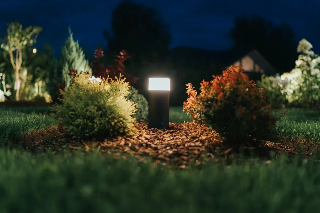 Why Your Philips Hue Dimmer Switch Won’t Pair (And How to Fix It)