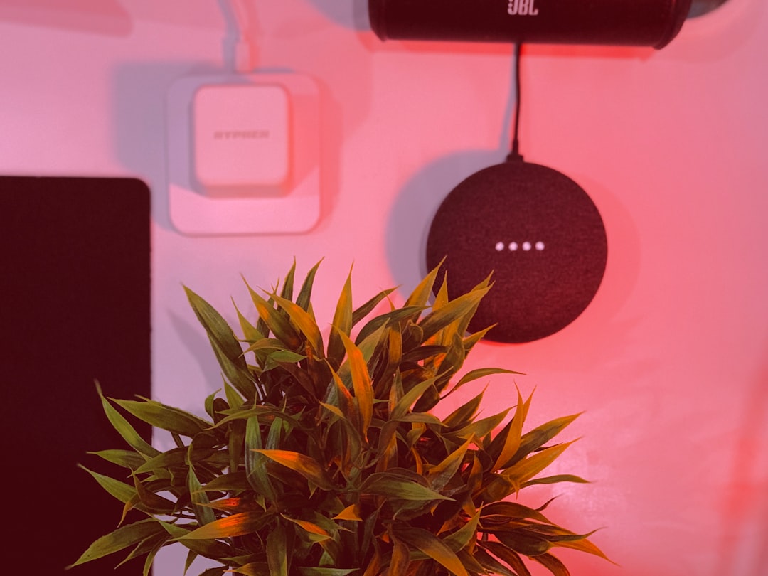 Google Home Mini Won't Turn On? Try This Factory Reset Fix
