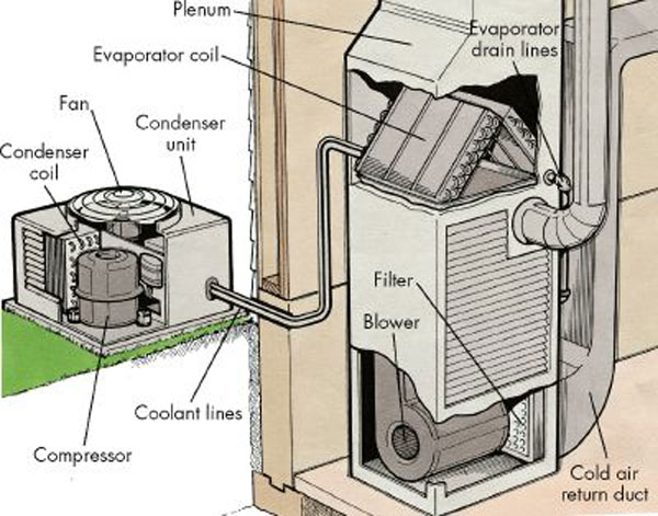 Is Your Philips Airfryer Making Loud Grinding Noises? How to Fix the Fan
